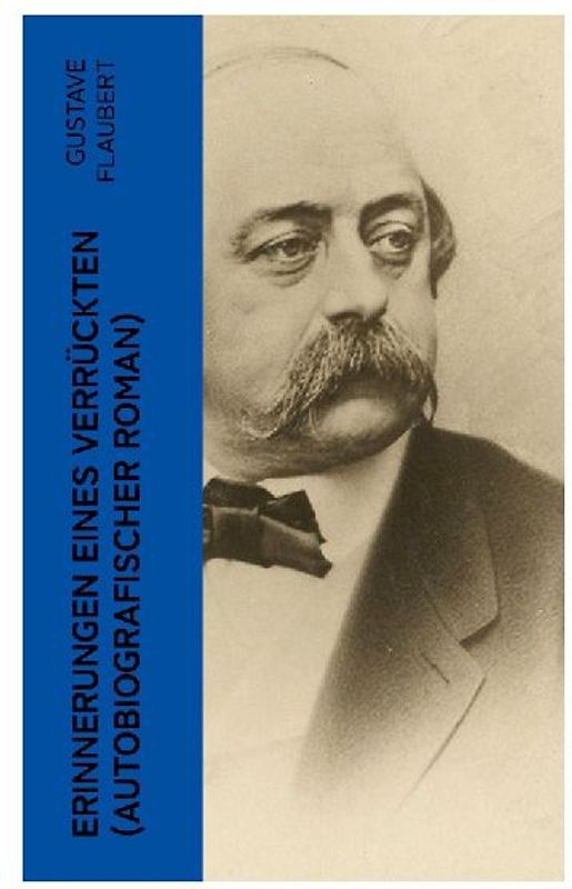 Erinnerungen eines Verrückten (Autobiografischer Roman)