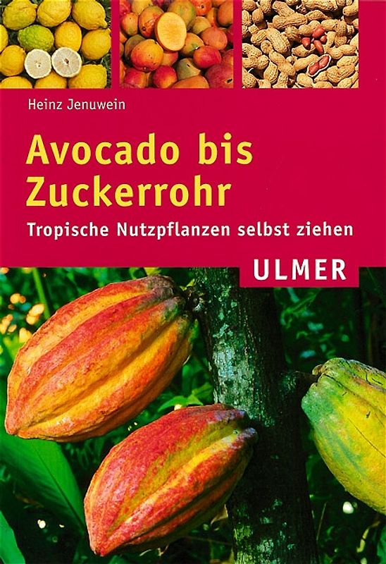 Avocado bis Zuckerrohr