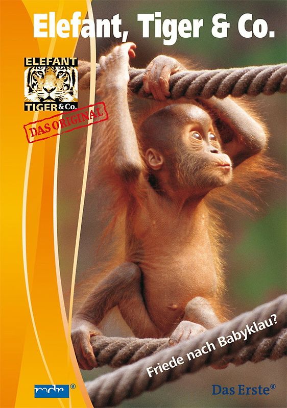 Elefant, Tiger & Co., Teil 17 (2 DVDs) DVD