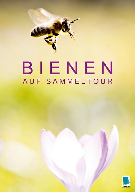 Bienen auf Sammeltour (Tischaufsteller DIN A5 hoch)