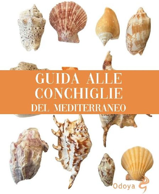Guida alle conchiglie del Mediterraneo