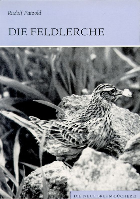 Die Feldlerche