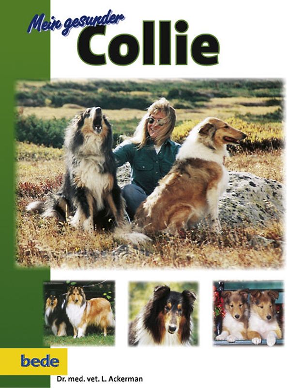 Mein gesunder Collie