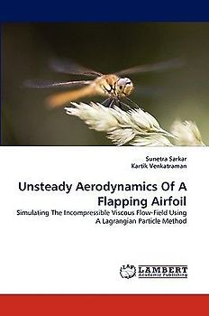 Unsteady Aerodynamics Of A Flapping Airfoil