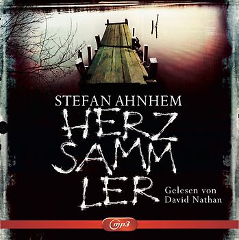 Herzsammler (Ein Fabian-Risk-Krimi 2)