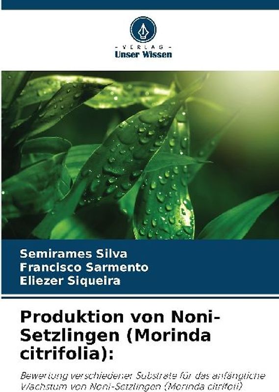 Produktion von Noni-Setzlingen (Morinda citrifolia):