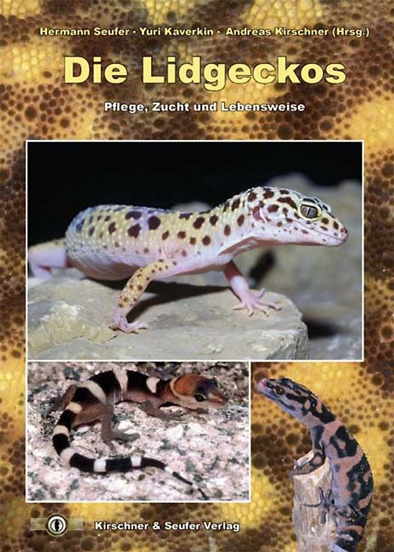 Die Lidgeckos