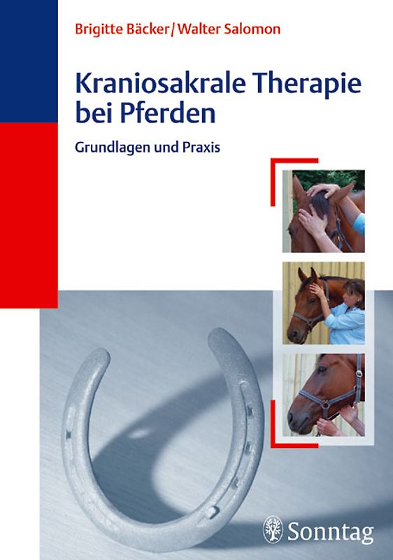 Kraniosakrale Osteopathie bei Pferden