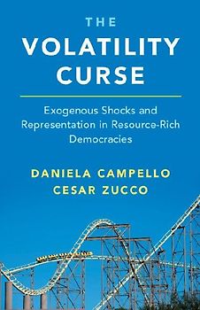 The Volatility Curse