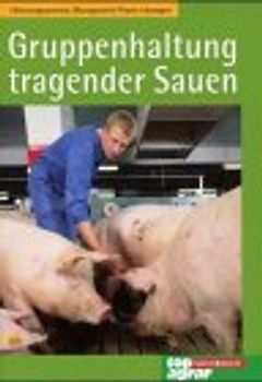 Gruppenhaltung tragender Sauen
