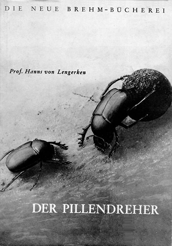 Der Pillendreher
