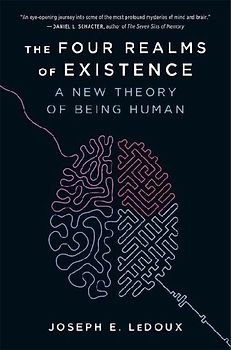 The Four Realms of Existence: A New Theory of Being Human