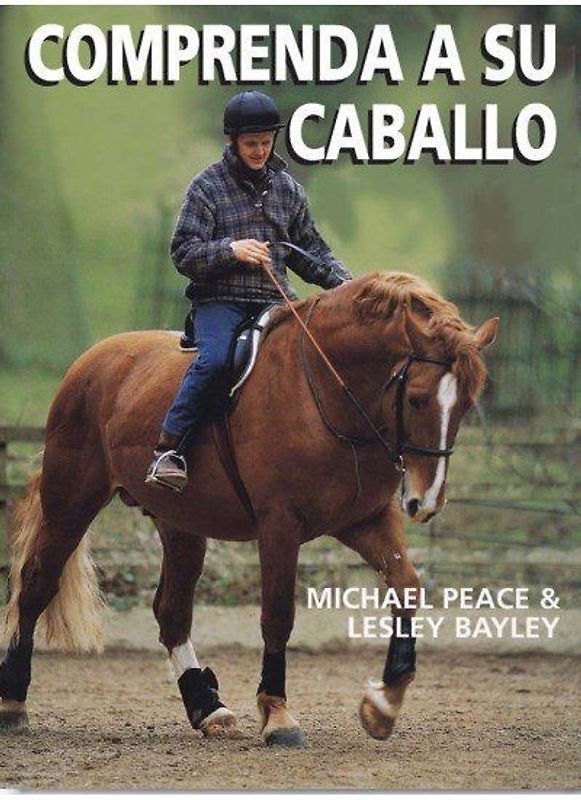 Comprender a su caballo