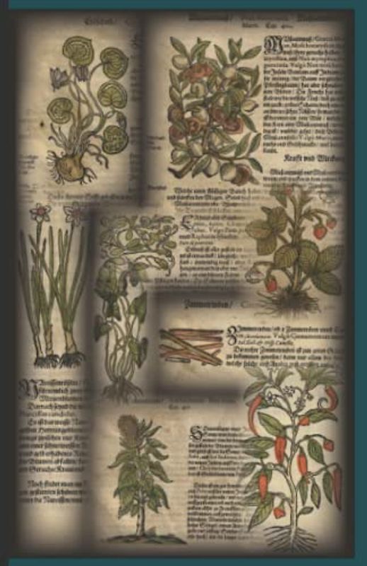 Medieval Notebook with "Ancient Herbarium" Design as Sketchbook, Diary or Journal for your Ideas & Recipes: with blank pages (Mondmärchen & Dark Episodes)