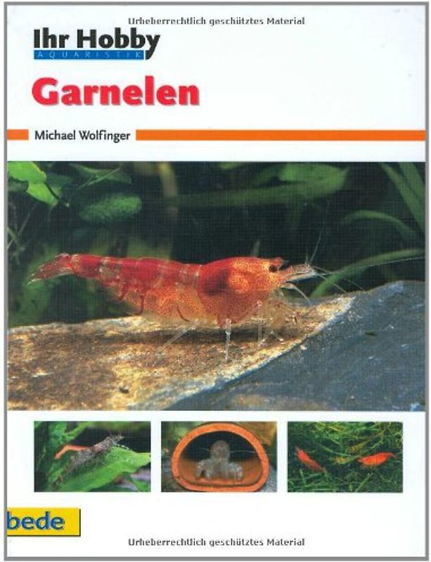 Ihr Hobby Garnelen