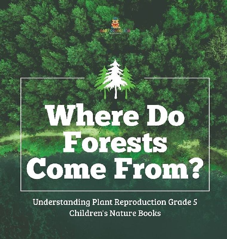 Where Do Forests Come From? | Understanding Plant Reproduction Grade 5 | Children's Nature Books
