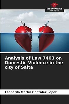 Analysis of Law 7403 on Domestic Violence in the city of Salta