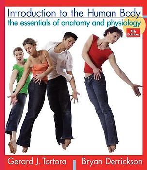 Introduction to the Human Body