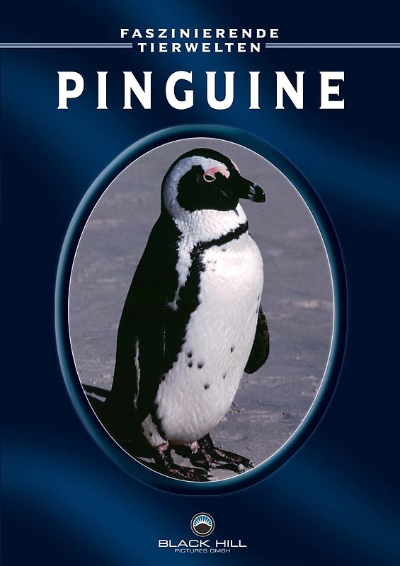 Pinguine DVD
