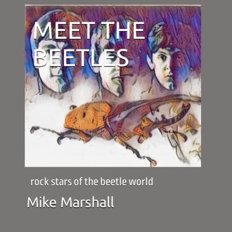 MEET THE BEETLES: rock stars of the beetle world