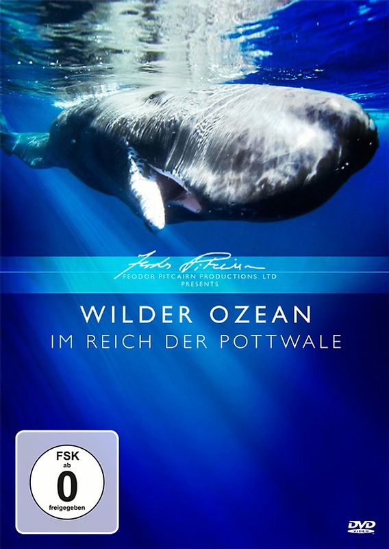 Wilder Ozean - Im Reich der Pottwale DVD