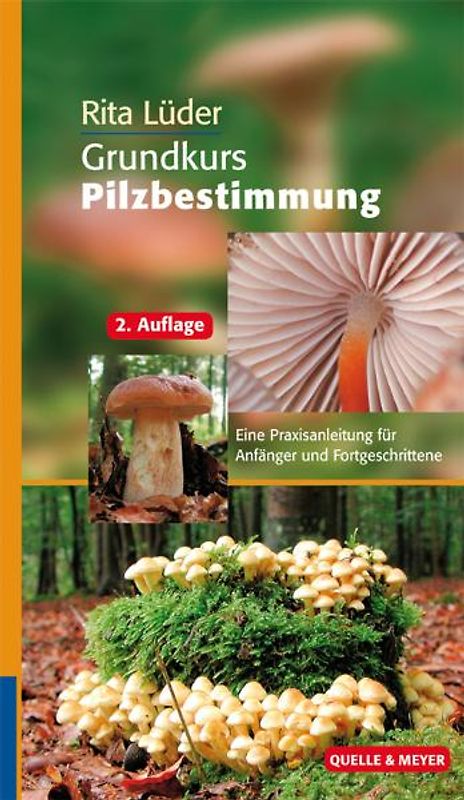 Grundkurs Pilzbestimmung