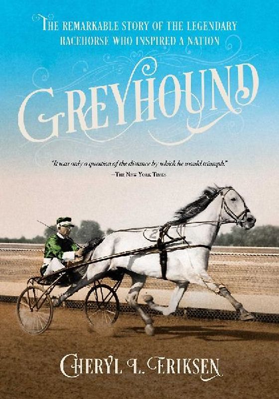 Greyhound
