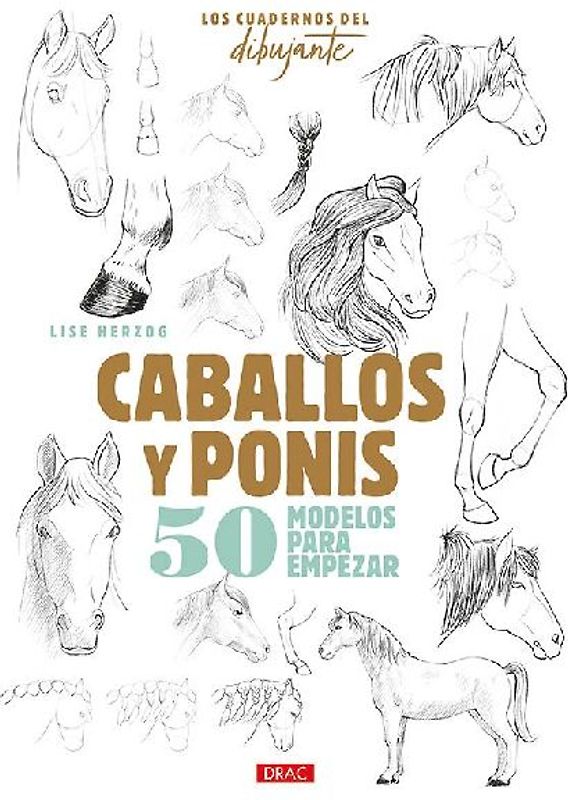 Caballos y ponis : 50 modelos para empezar