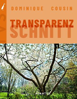 Transparenzschnitt