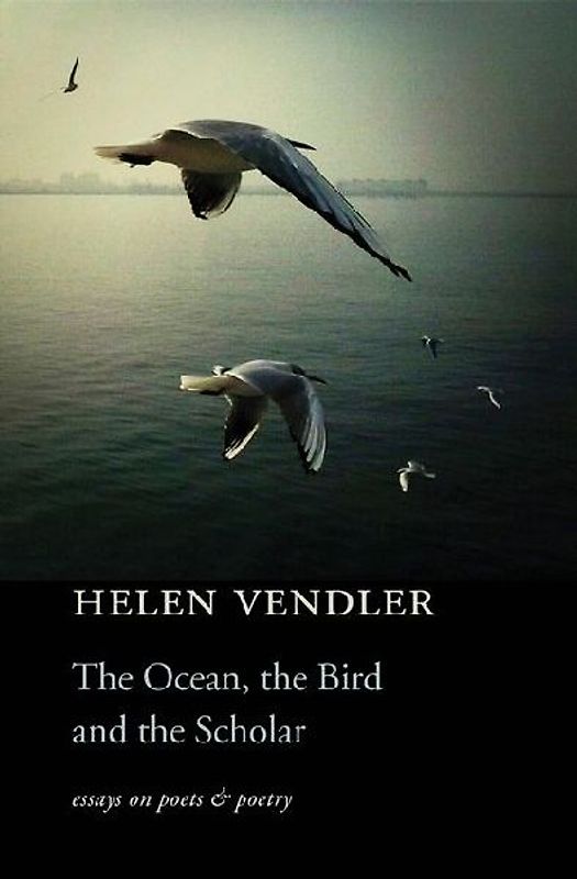 The Ocean, the Bird, and the Scholar