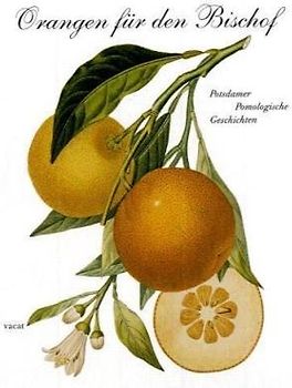 Orangen für den Bischof