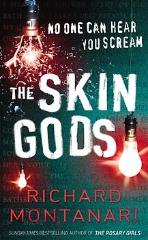 The Skin Gods - Richard Montanari