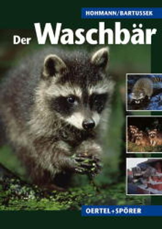 Der Waschbär