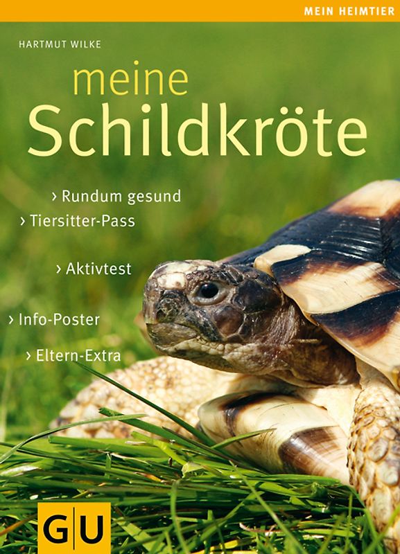 Meine Schildkröte