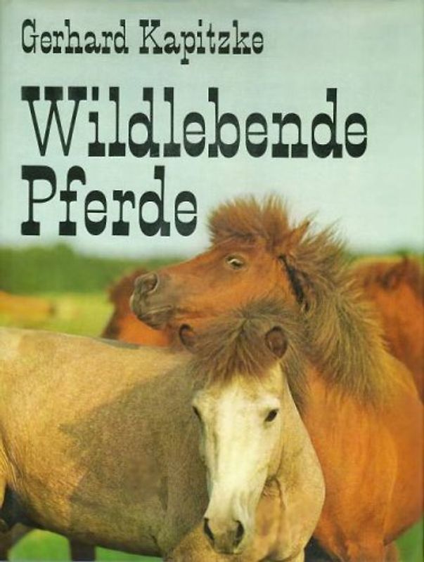 Wildlebende Pferde.