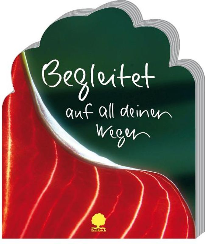 Begleitet auf all deinen Wegen