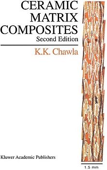 Ceramic Matrix Composites