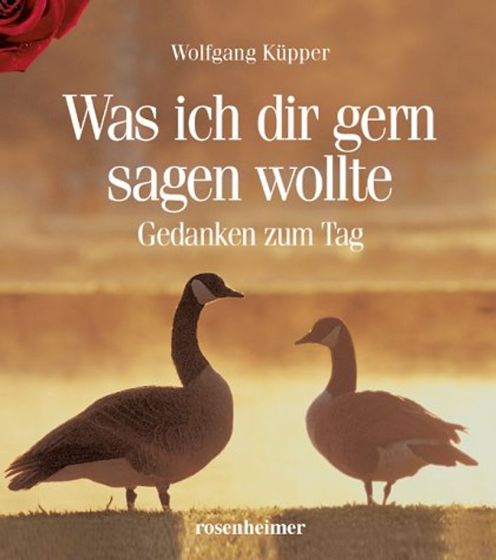 Was ich dir gern sagen wollte