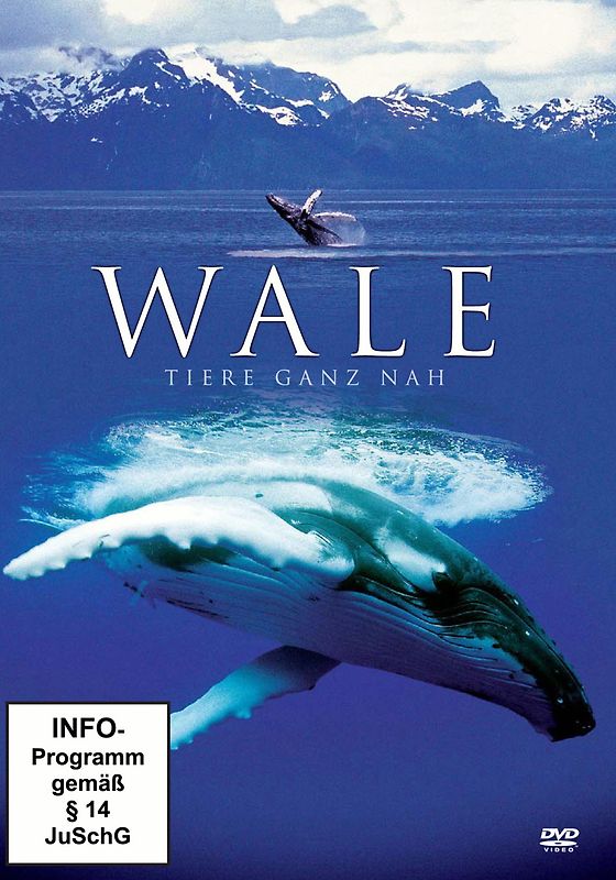 Wale - Tiere ganz nah DVD