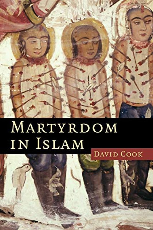 Martyrdom in Islam (Themes in Islamic History, Band 4)