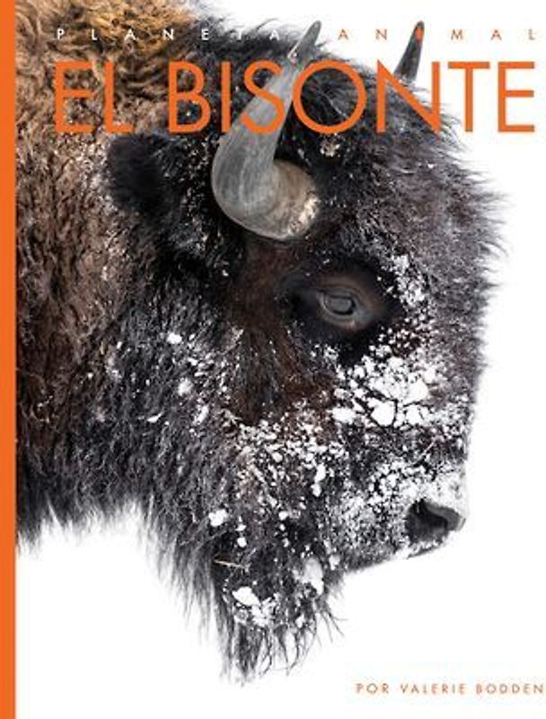 El Bisonte