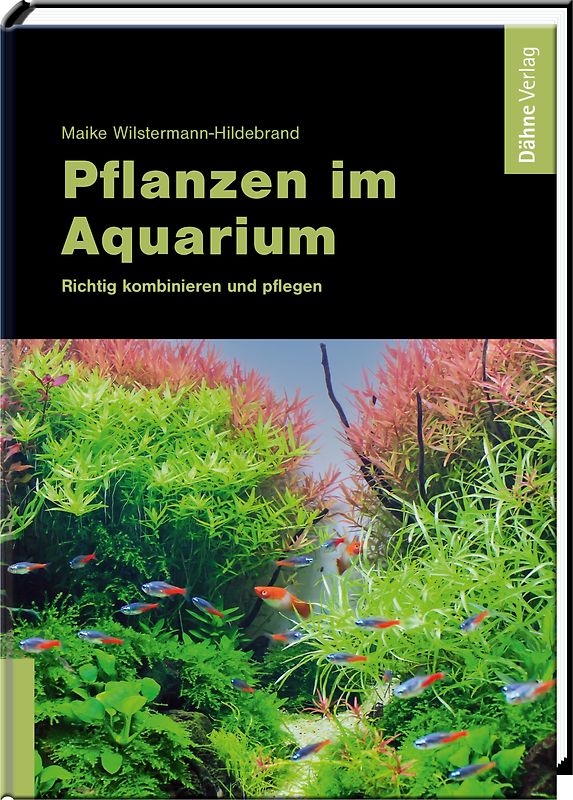 Pflanzen im Aquarium