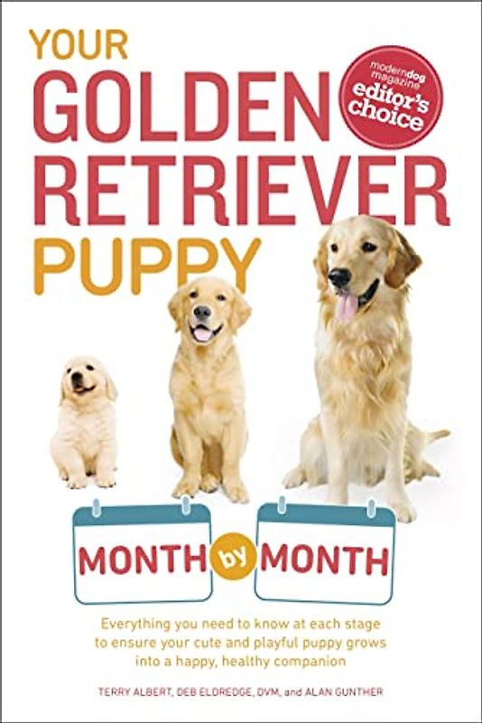Your Golden Retriever Puppy Month by Month