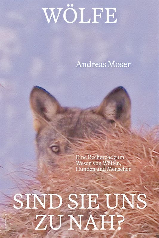 Wölfe – sind sie uns zu nah?