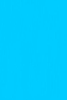 Werke und Briefe. Wissenschaftliche Ausgabe / Briefe 8 (2 Bände): Briefwechsel mit Carl und Gerhart Hauptmann.