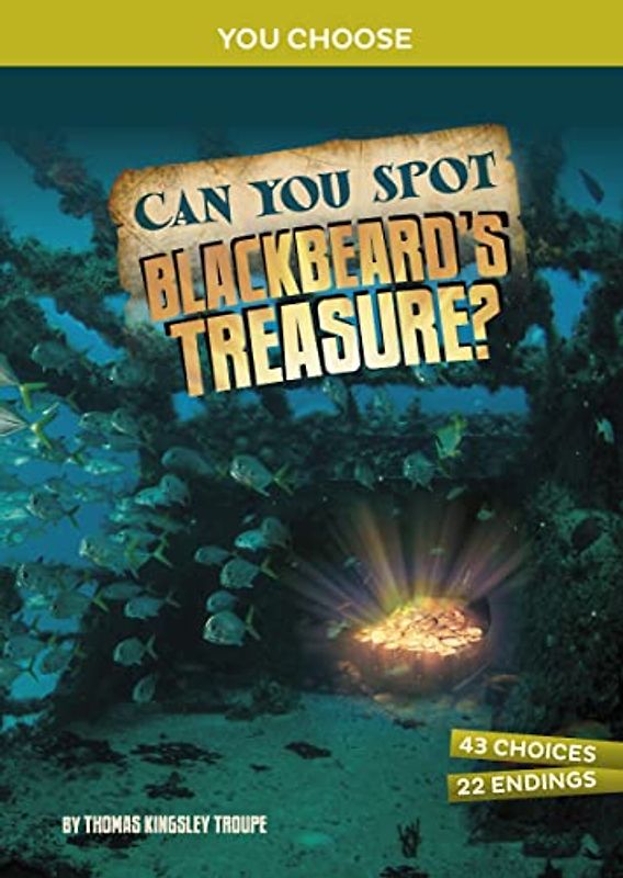 Can You Spot Blackbeard's Treasure?