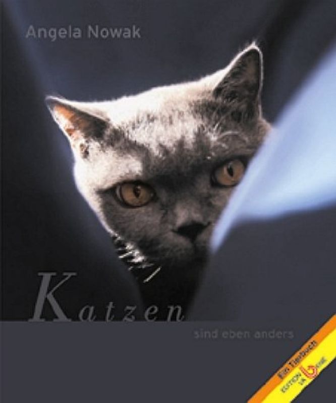 Katzen