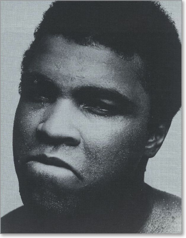 collection agnès b.