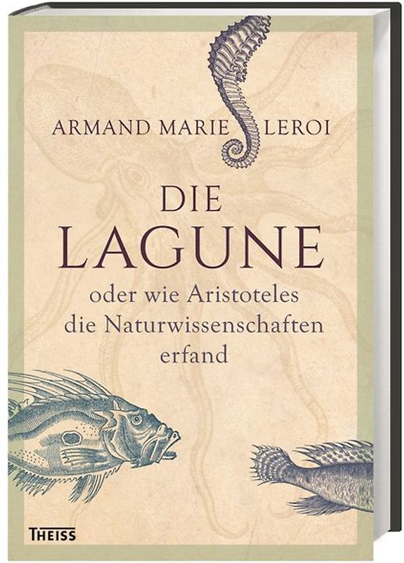 Die Lagune