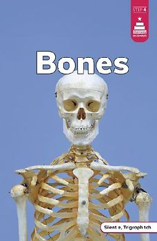 Bones